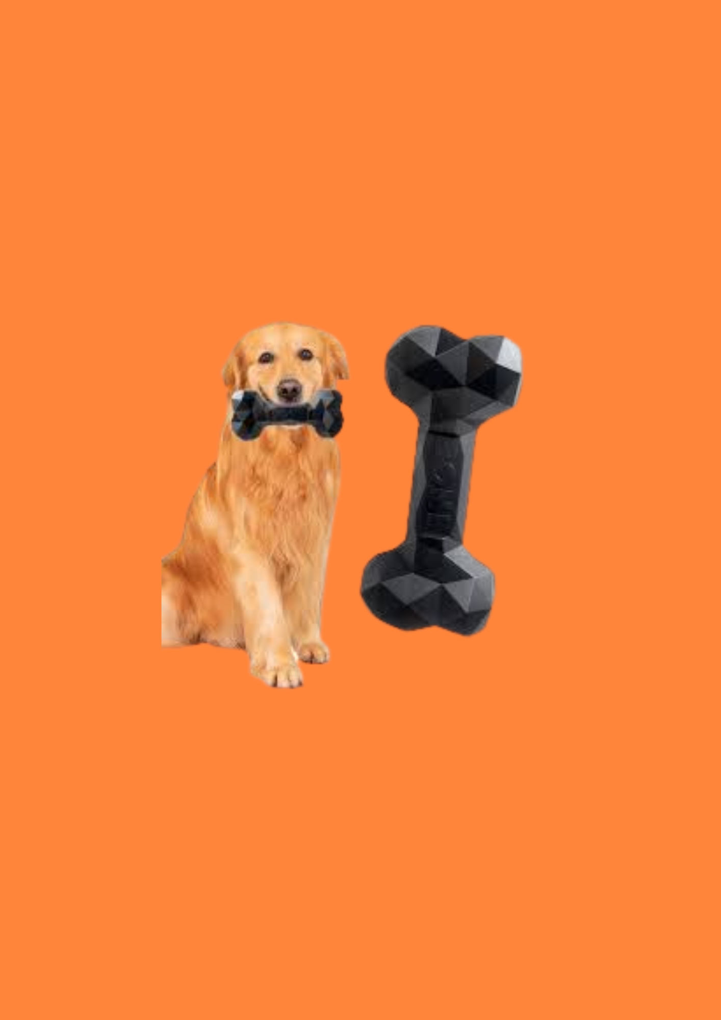 JOUET POUR CHIEN