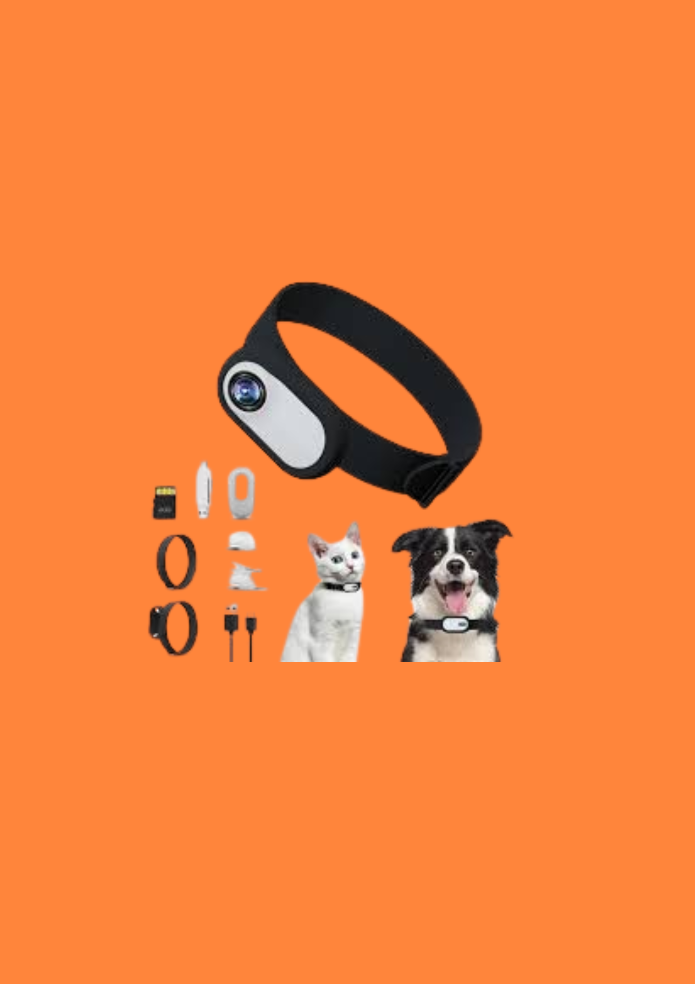 CAMERA CONNECTE CHAT ET CHIEN