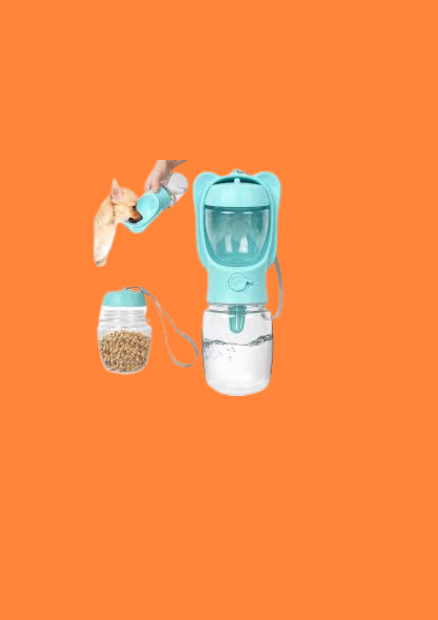GOURDE POUR CHAT ET CHIEN