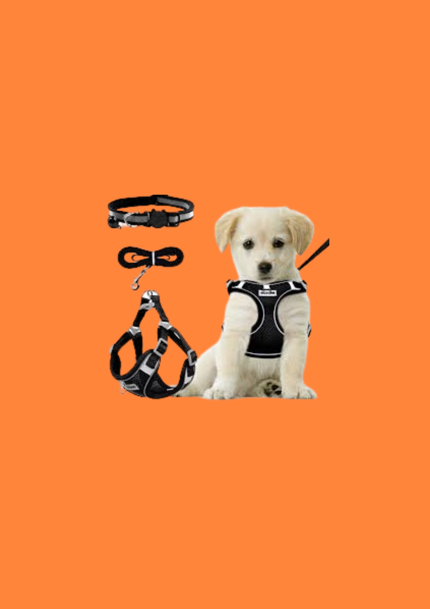 HARNAIS POUR CHIOT