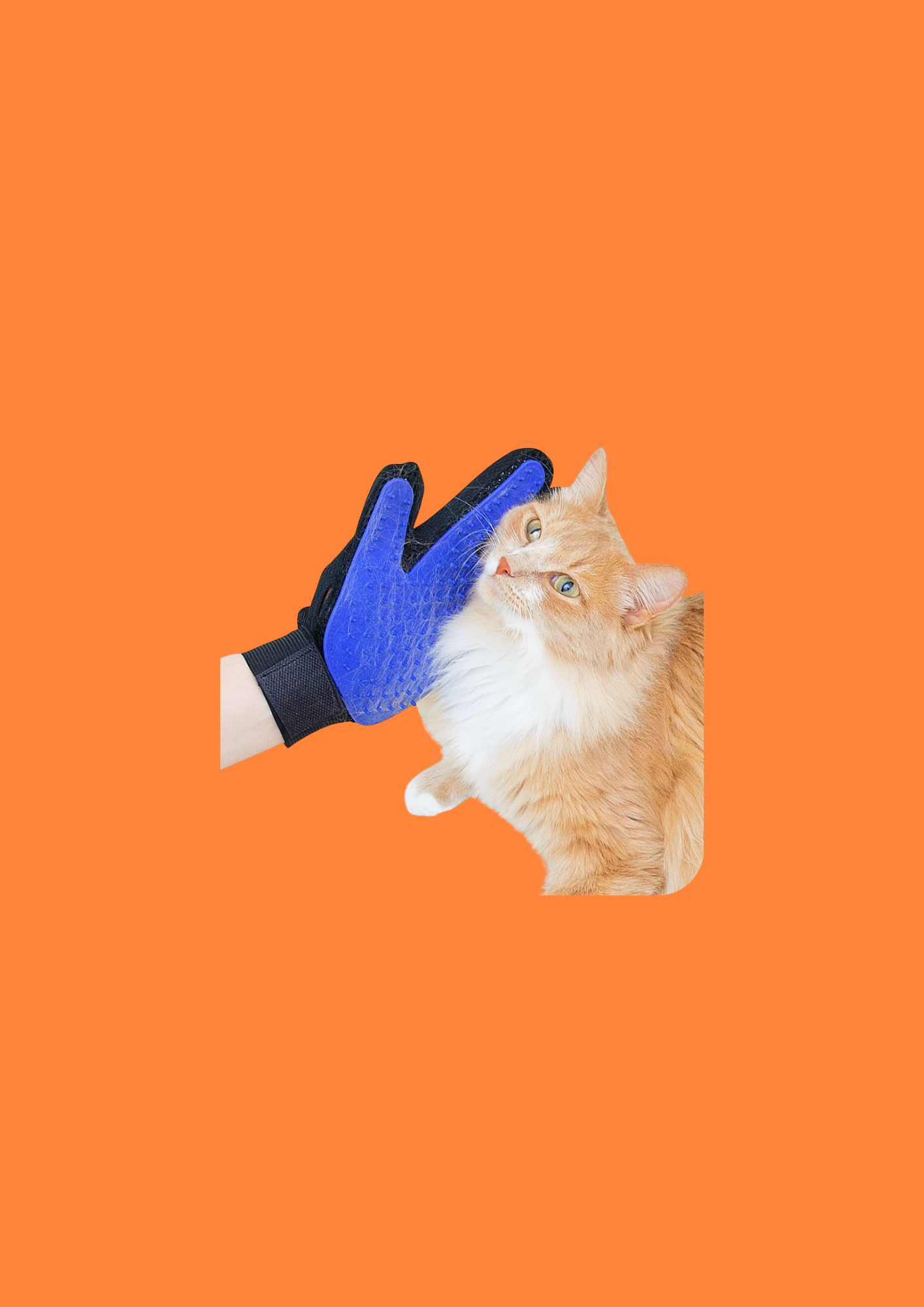BROSSE A CHAT