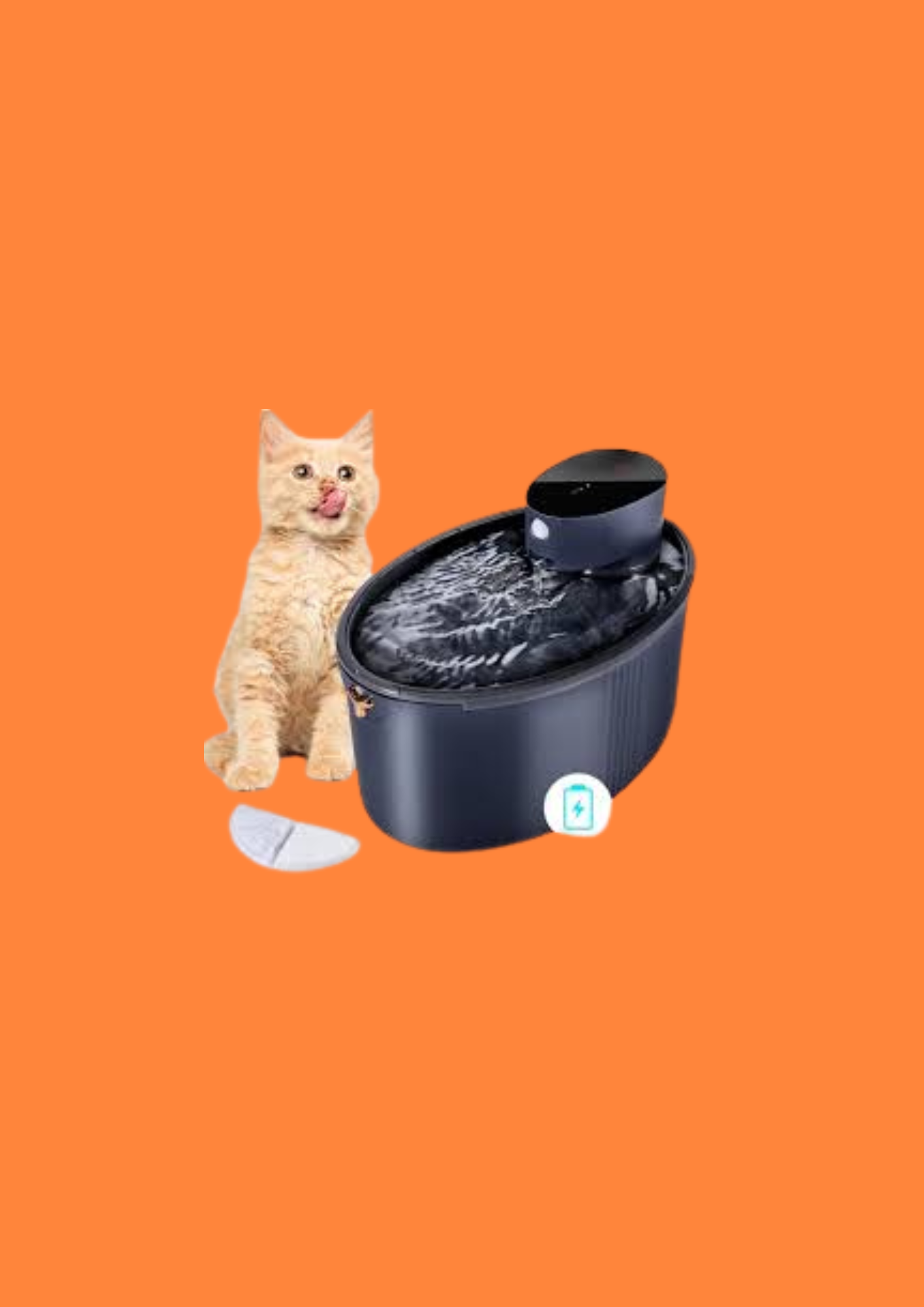 FONTAINE A EAU POUR CHAT