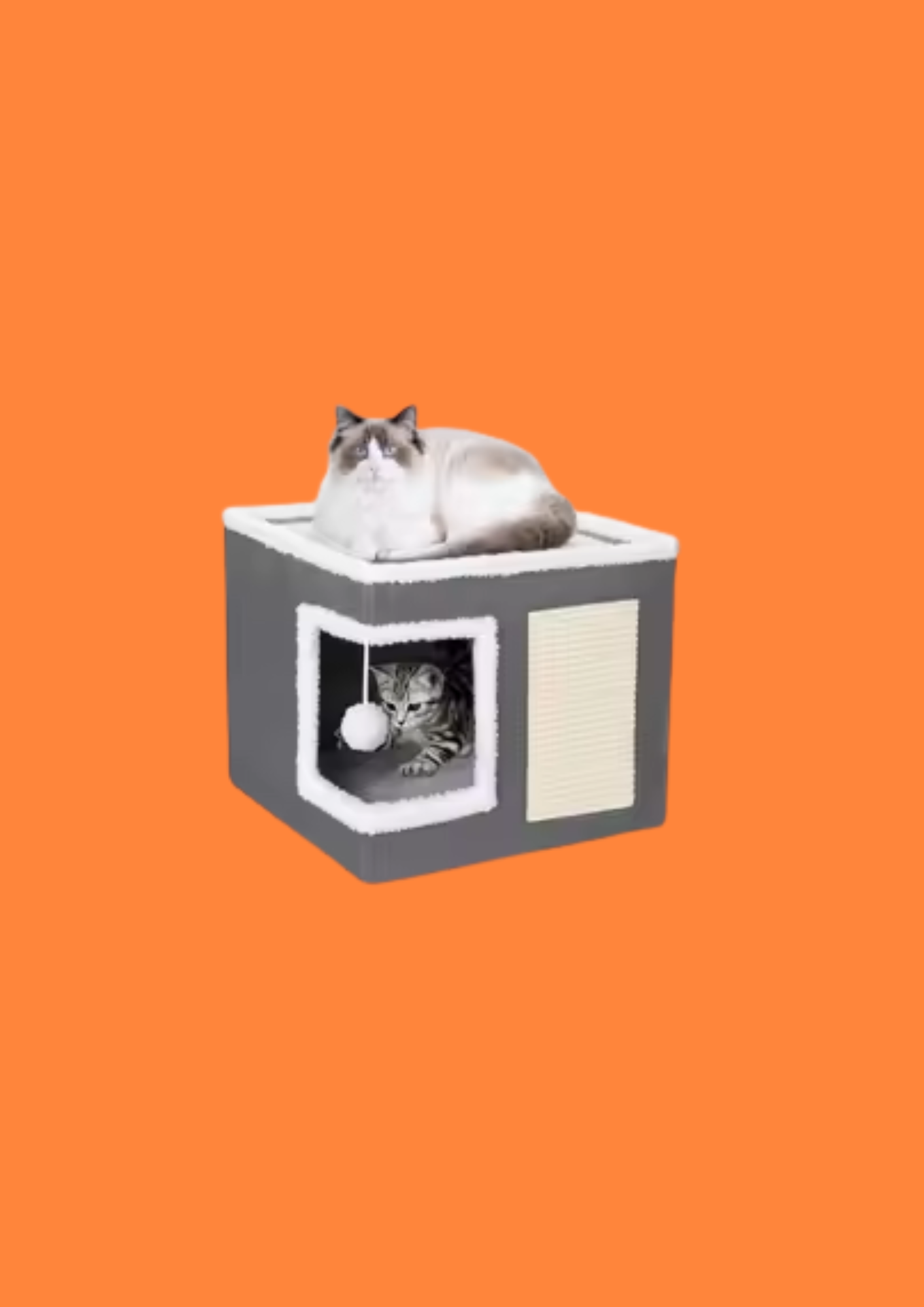 MAISONETTE POUR CHAT