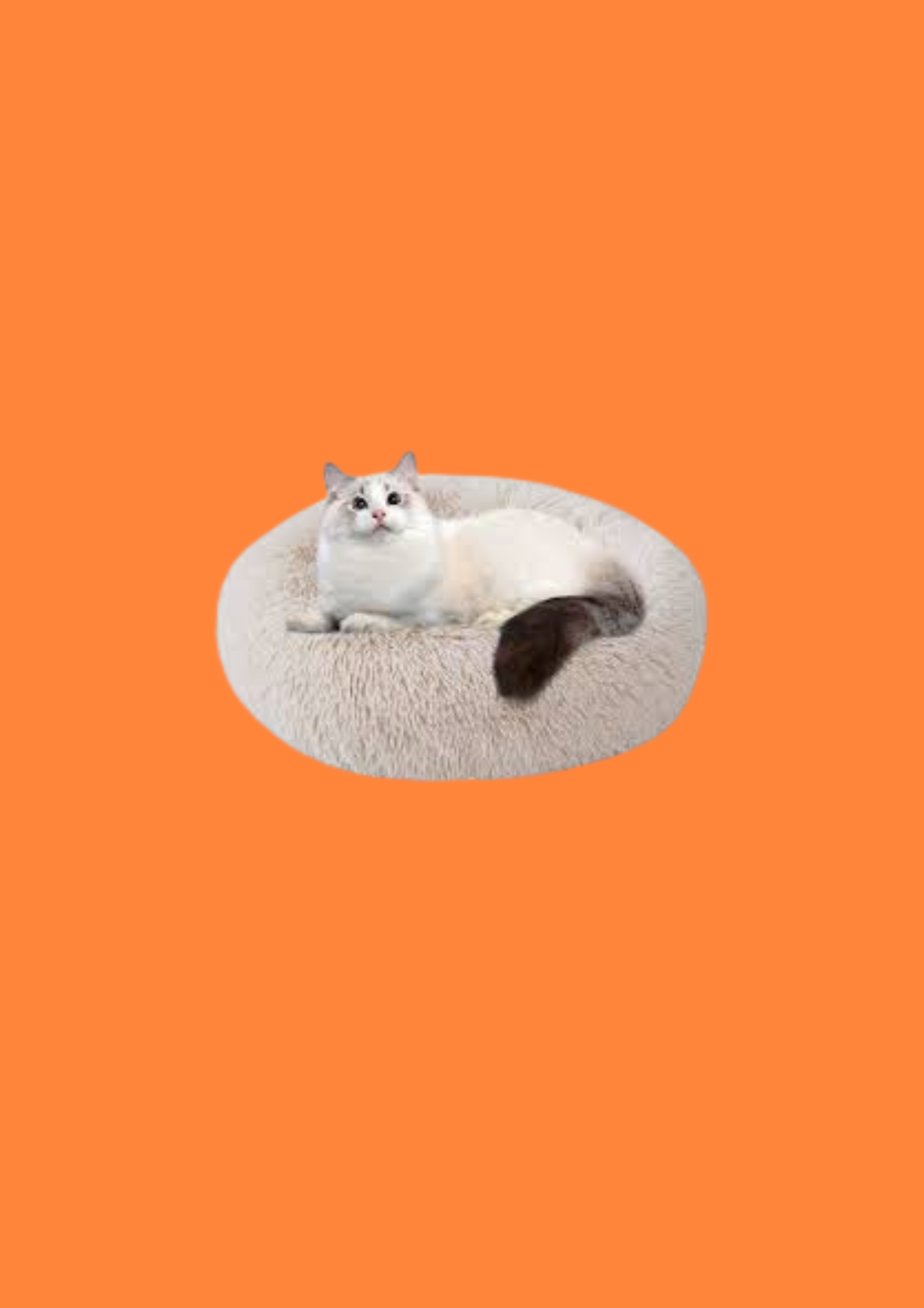 LIT APAISANT POUR CHAT